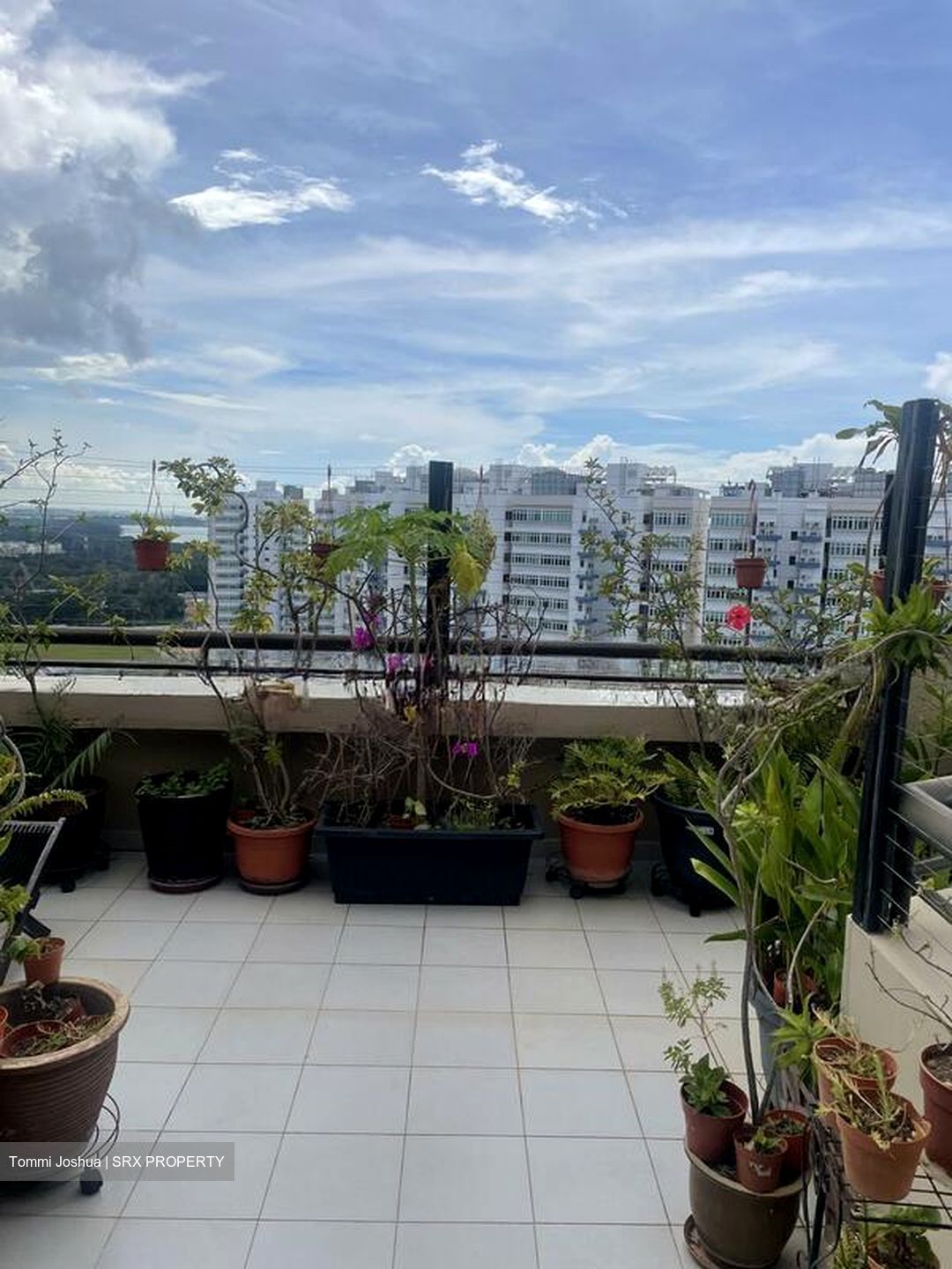 Bayshore Park (D16), Condominium #567214521